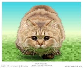 猫矢量图
