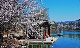 园林景