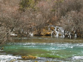 九寨沟风景水
