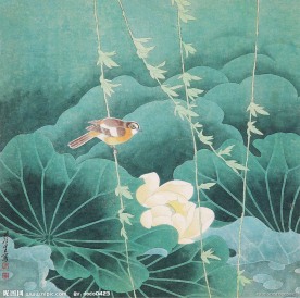 花鸟类