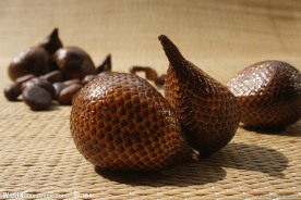buah nipah 亚答果 写真