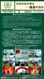 企业 招商引资 海报设计