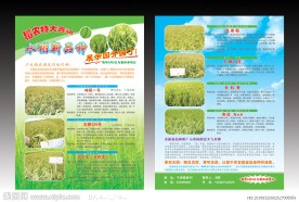 水稻彩页