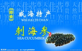 海参包装