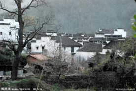 婺源风光