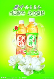 原叶茉莉花茶
