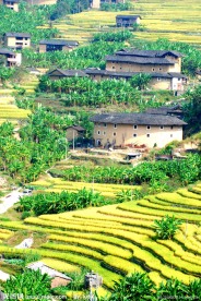 永定土楼风光
