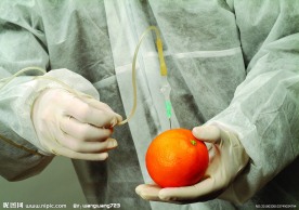 橘子实验