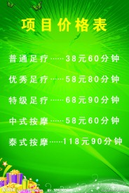 项目价格表