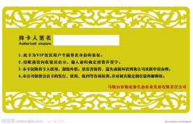 VIP贵宾卡设计模板