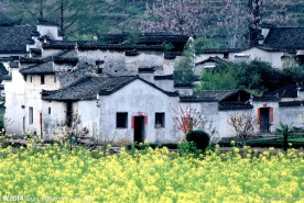 安徽黟县西递风光