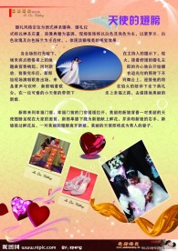 婚庆公司画册内页