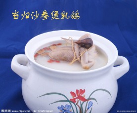 当归沙参煲乳鸽
