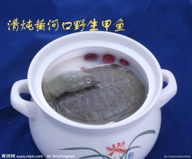 清炖黄河口野生甲鱼