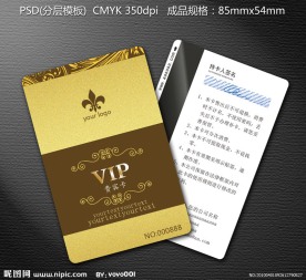 贵宾卡模板 vip卡设计模板