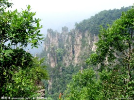山景