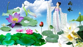 荷花中的美女
