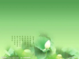PPT模板 荷花背景 浅绿淡雅风
