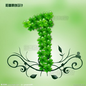 数字 花纹
