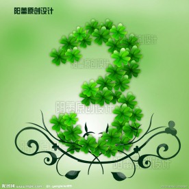 数字 花纹