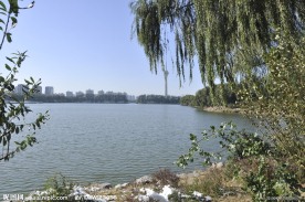 北京玉渊潭公园