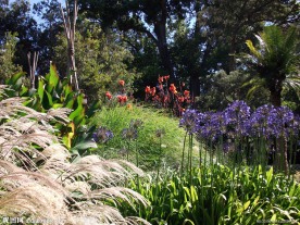 山水风景 风景名胜 自然风景 旅游印记 墨尔本森林一角