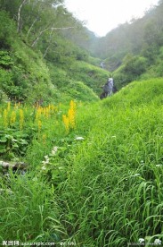 山间流水