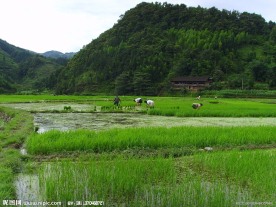 田园风景