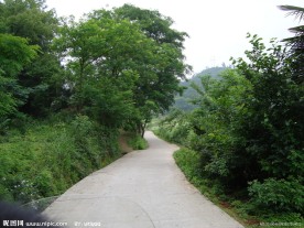 乡间小路