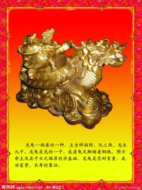 工艺龙龟