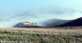 中国石油长庆油田