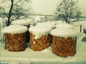 美丽的雪景