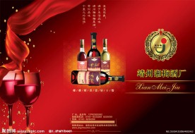 红酒宣传单 红飘带