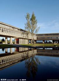 英格兰萨里大学 学校后院