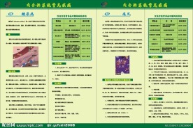 糖尿病