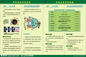 白内障