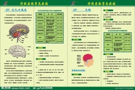记忆力