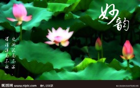 水彩效果荷花