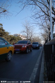 道路上的主流