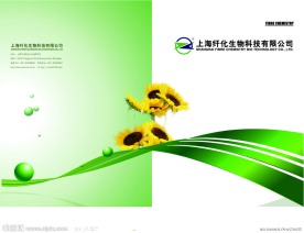 画册封面