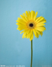 小花