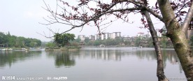 龟山公园