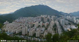 梧桐山莲塘超高清图片