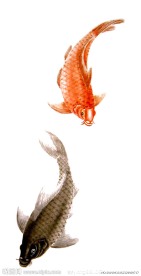水墨画鱼