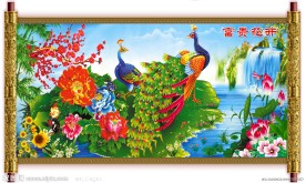 富贵花开 孔雀 瀑布