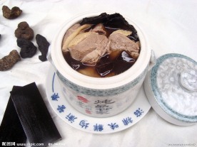炖鸽子
