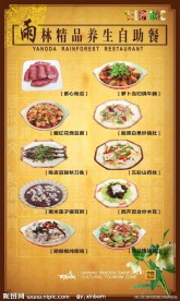 雨林养生自助餐
