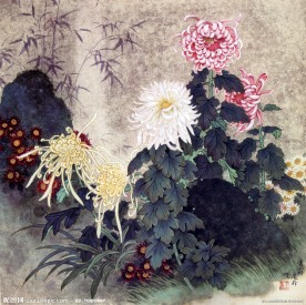 国画菊花