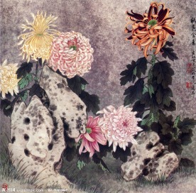 国画菊花