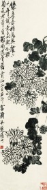 国画菊花